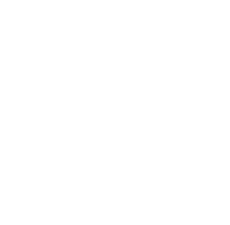 the Github logo